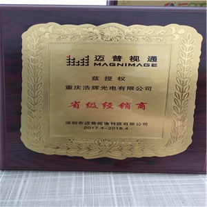 省级经销商